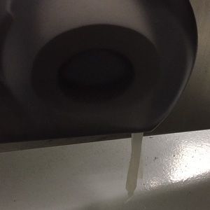 Meet your Posher, Teddy